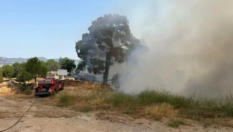 Muğla'nın Gözbebeği: Orman Yangınıyla Mücadelede Yeni Gelişmeler