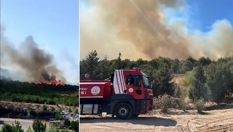 Gebze’deki Orman Yangını: Doğa Yıkıma Uğradı, Soru İşaretleri Peşini Bırakmadı