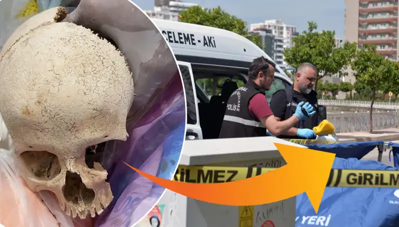 Sitenin Çöpünde Bulunan Kafatasının Sırrı Ortaya Çıktı!