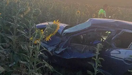 Otomobil Ayçiçeği Tarlasına Devrildi: Kazanın Detayları Ortaya Çıktı