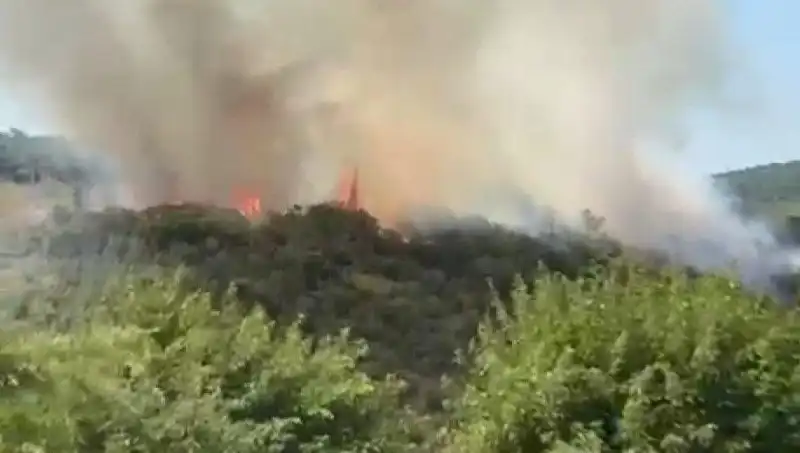 İstanbul'da Orman Yangını: Vatandaşlar Tahliye Edilirken Neler Oluyor?