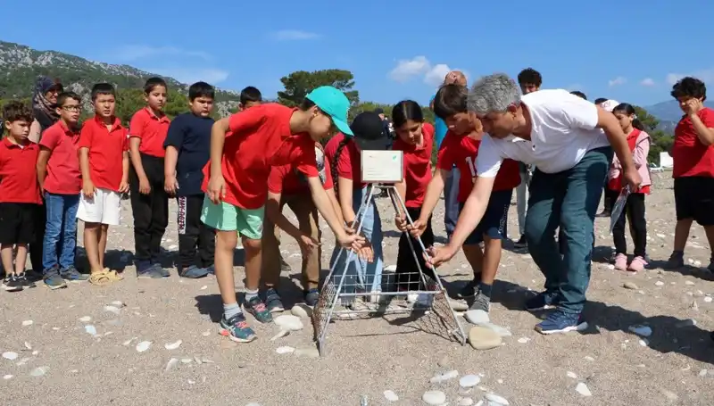 Kemer'de Caretta Caretta Koruma Yasakları Başladı: Plajlarda Neler Olacak?