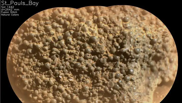 Mars'ta Keşfedilen Gizemli 'Örümcek Yumurtaları' Bilim Dünyasını Sarstı