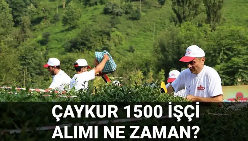 Çaykur İşçi Alımı Başvuru Tarihleri ve Süreci Açıklandı!