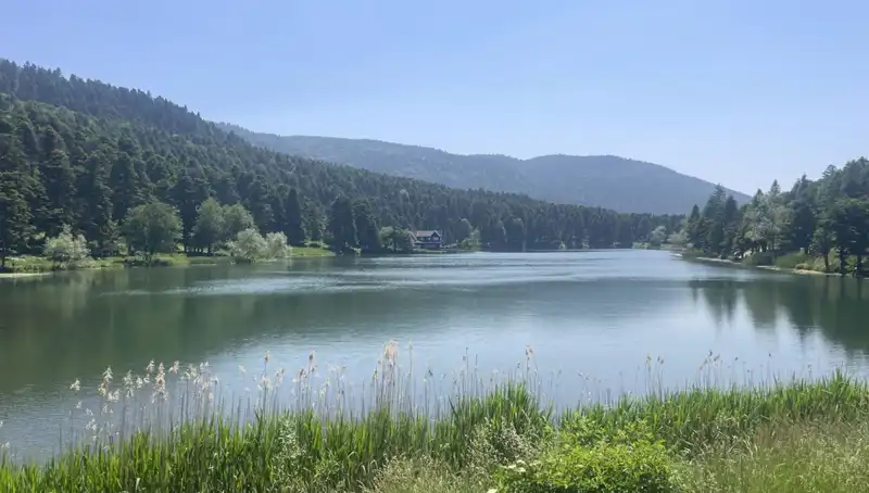 Bolu'nun Milli Parkları: Doğa Severlerin Yeni Gözdesi Oldu