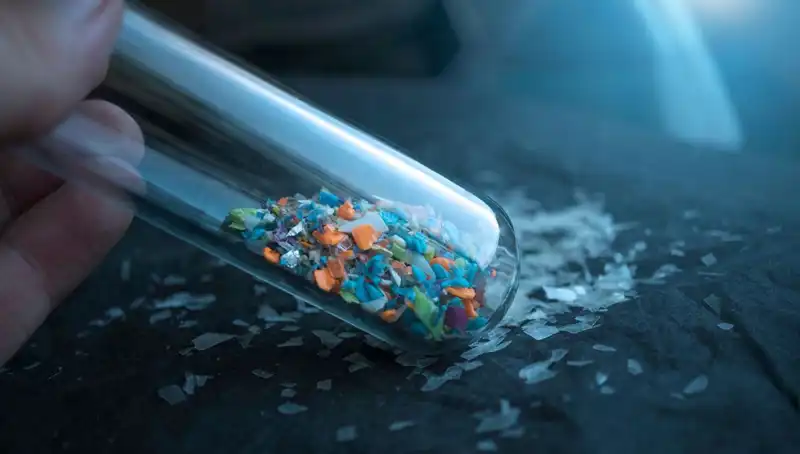 Mikroplastikler İnsan Beynine Kadar Ulaşıyor: Sağlığımıza Etkileri Neler?