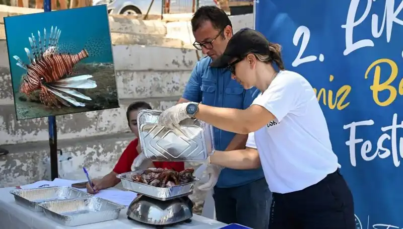 Antalya'da İstilacı Aslan Balığı Avlama Yarışması: Doğa İçin Mücadele