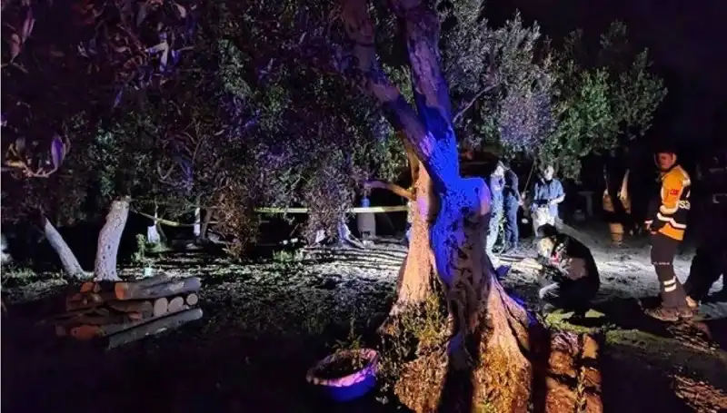 Çiftlikte Baltalı Vahşet: Şok Edici Tutuklama Gerçekleşti!