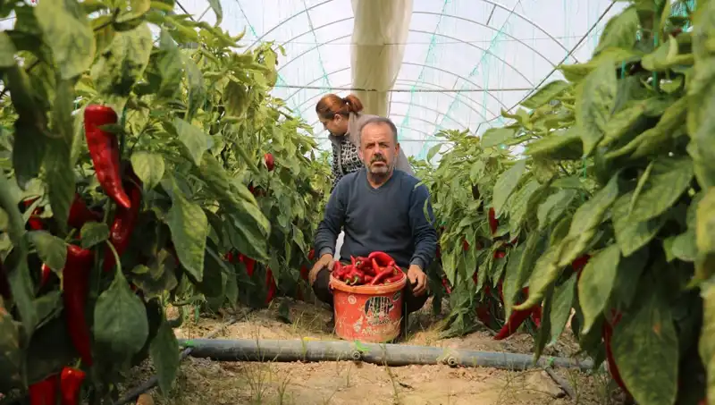 Fiyatlar Neden Yükseliyor? 50 TL’lik Ürün Artık 80 TL!