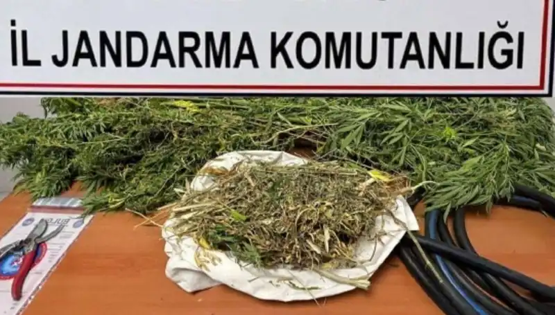 Niğde'de Büyük Uyuşturucu Operasyonu: Ele Geçirilenler Şaşırtıyor!