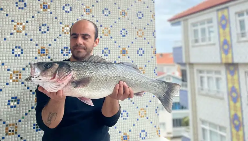 7,5 Kiloluk Dev Levrek: Balıkçıların Hayalini Gerçekleştiren Av