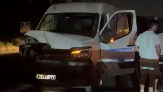 İstanbul’da Manda Kazası: Üç Kişinin Yaralandığı Olayın Detayları