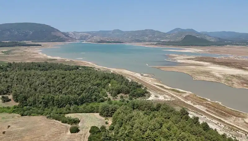 İzmir’de Tehlike Çanları Çalıyor: Geçen Yılın Verileri Endişe Verici