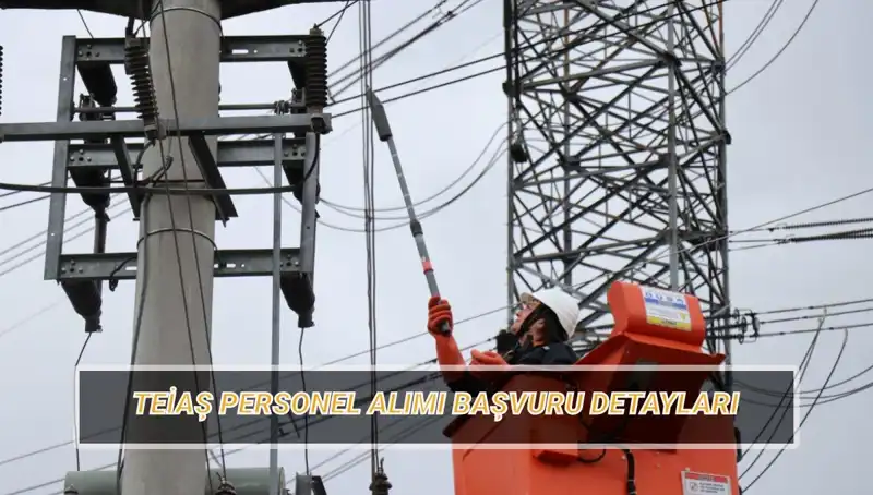 TEİAŞ Personel Alımı: Başvuru Tarihleri ve Şartlar Hakkında Bilmeniz Gerekenler