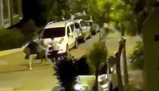 Avcılar'da 3 Kişinin Saldırısına Uğrayan Vatandaşı Kovalamaca Kurtardı