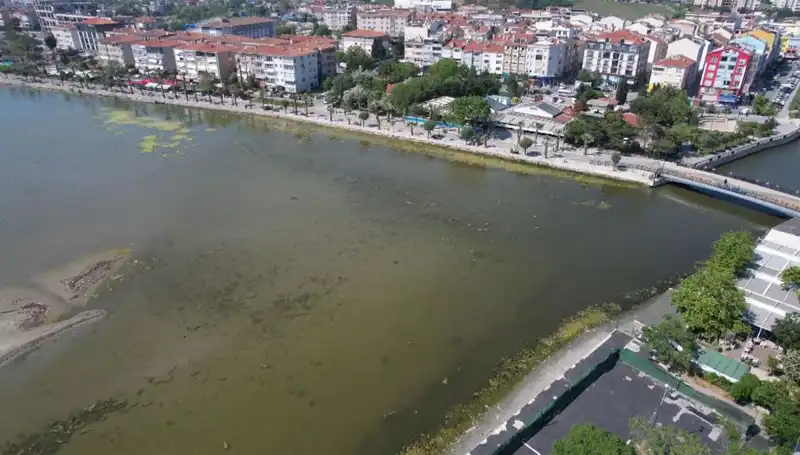Marmara Denizi'nde Korkutan Durum: Ciddi Risk Altında mı?