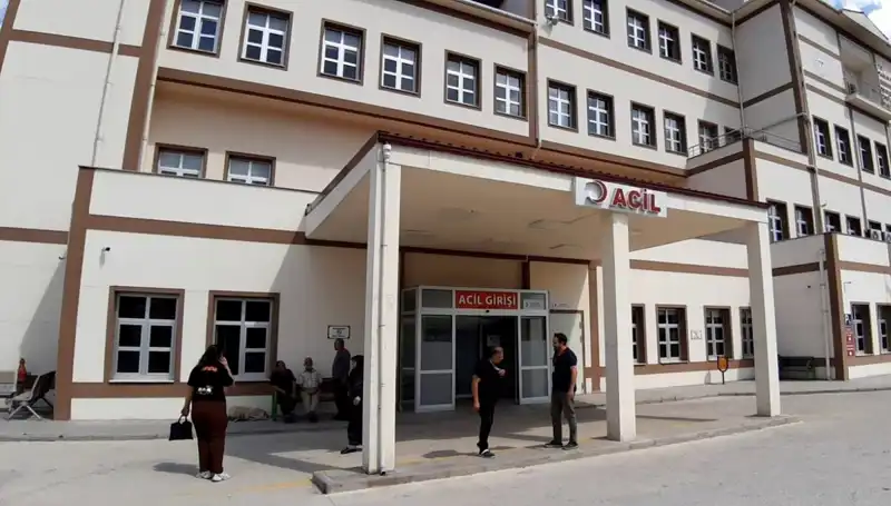 Bolu’da Ayı Avı Kararı: Doğanın Dengesini Sağlamak İçin Alınan Önemli Adım
