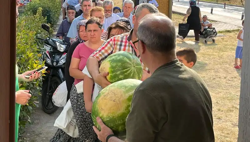Hasat Sezonu Başladı: Tarlada Kalan Ürünler Bedava Dağıtıldı!