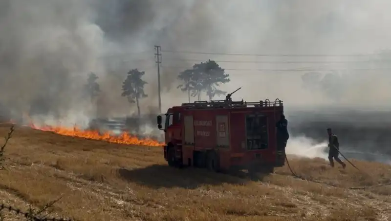 Kırklareli'nde Korkutan Anız Yangını: Tarım Alanları Tehlike Altında!