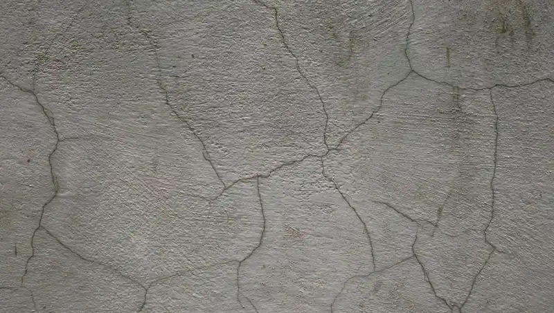Çağdaş Mühendislik Harikası: Canlı Beton Çatlakları Kendi Kendine Onarıyor