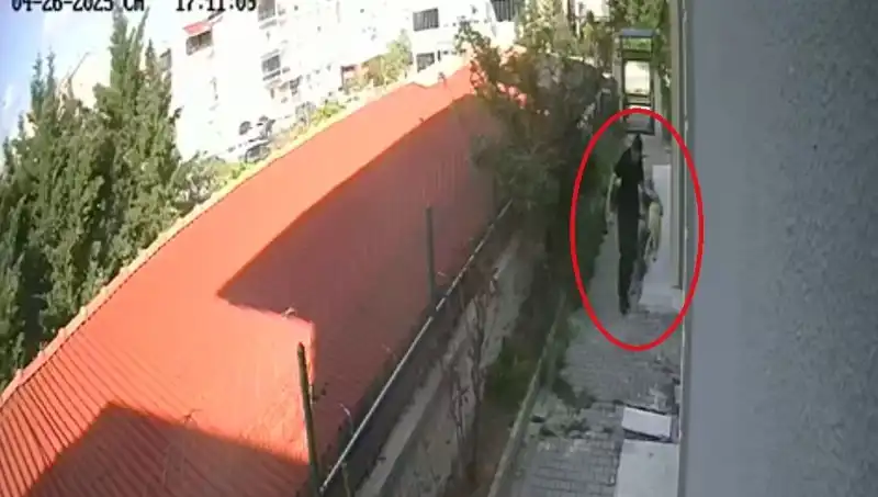 Hayvansever Doktorun Şok Edici Suçlama: Köpekleri Parçalayıp Öldürdü!