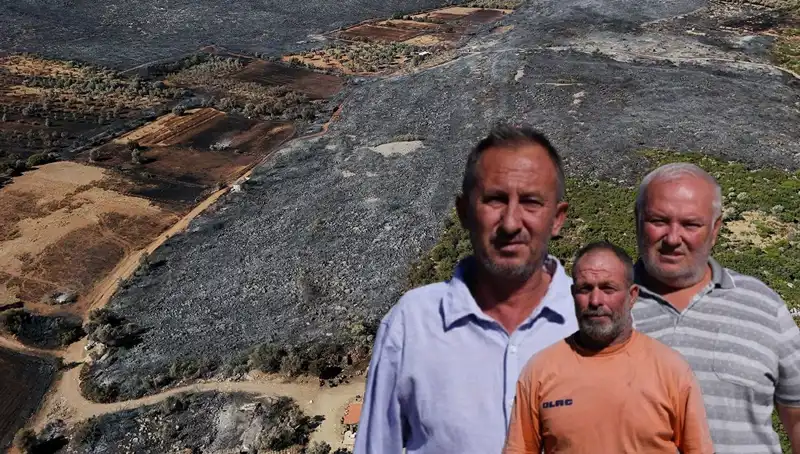 Çeşme Yangını: Sıcak Havaların Getirdiği Felaketin Derin Yaraları