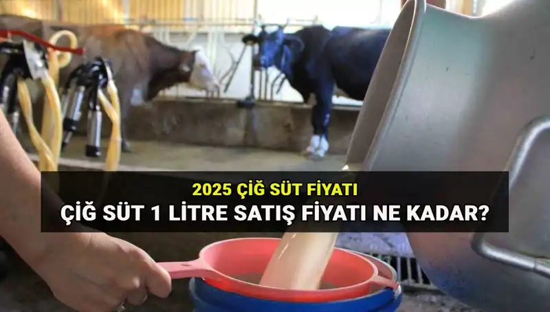 2025'te Çiğ Süt Fiyatları: Ulusal Süt Konseyi'nden Yeni Açıklamalar