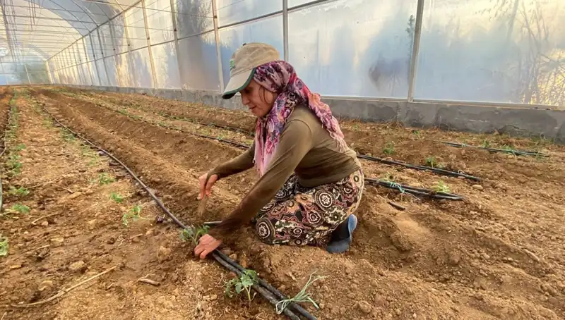 Fidelerin Toprakla Buluştuğu Yerde Günlük 6 Saat Mesai Var!