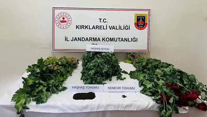 Kırklareli'ndeki Uyuşturucu Operasyonu: 8 Kişi Gözaltında!