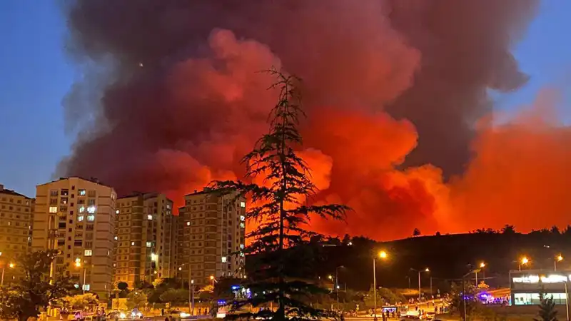 Bursa'da Yangın Alarmı: Yoğun Dumanlar Şehri Sararken Ne Oluyor?