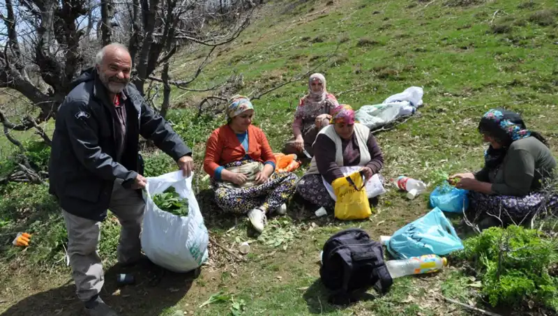 Küçük Çilekçiler: Yüzlerce Aile İçin Geçim Kaynağı Olan Çilek Toplama Serüveni