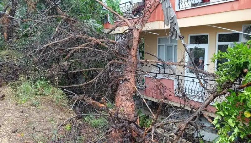 Yağışlar Sonunda Azgınlaştı, Bina Üzerine Devrildi!