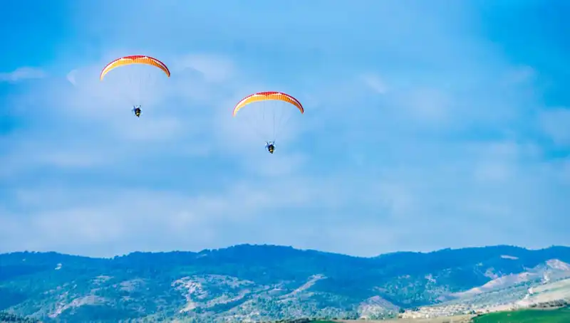 ABD'de Paraşüt Eğitimi Sırasında İki Polonya Askerinin Ölümü Üzerine Tartışmalar