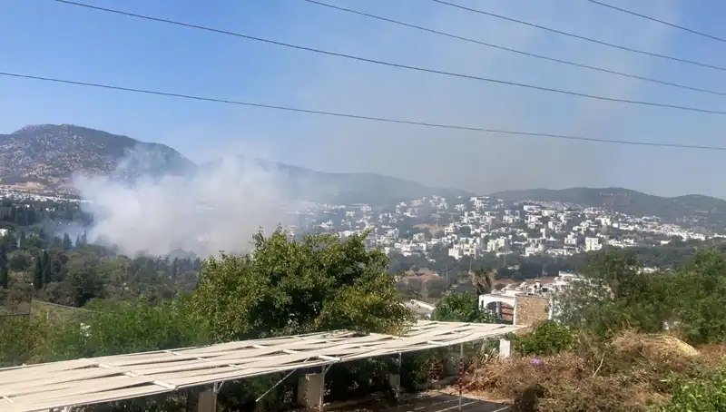 Muğla Orman Yangınları Kontrol Altında: Son Durum Nedir?