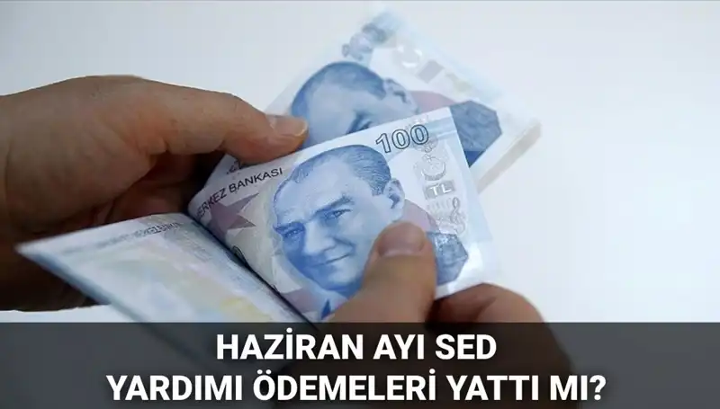 Haziran 2025 SED Ödemeleri: Ne Zaman ve Nasıl Sorgulanır?