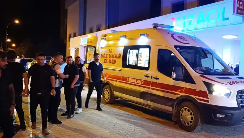Kavgayı Ayırmaya Çalışan Kardeşin Talihsiz Sonu: Olacaklar Şoke Etti!