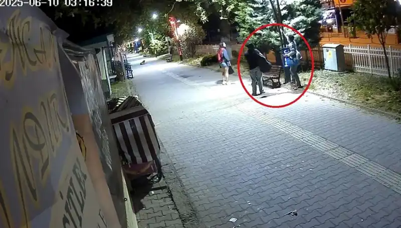 Aydınlatma Direklerindeki LED Işıkları Sökerek Şehirde Kaos Yaratan Olay
