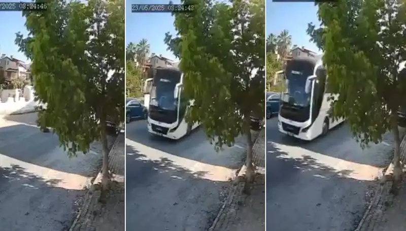 Yolda Yatan Köpeği Ezip Geçen Sürücü Tepki Topladı!