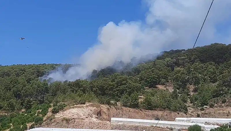 Kumluca'da Yangın Alarmı: Doğa Suları Hızla Alev Aldı