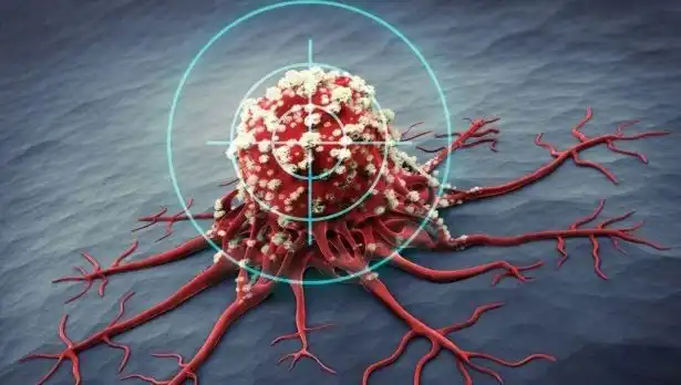 Prostat Kanserinden Koruyan 6 Besin: Bilimin Kanıtladığı Sağlık Sırrı